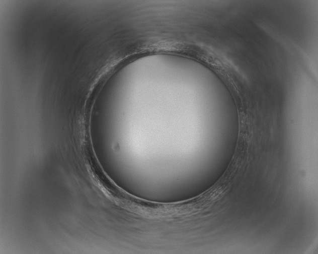 X0000054440012200507291330