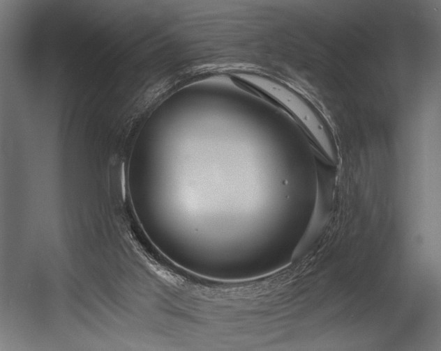 X0000054440013200507291330