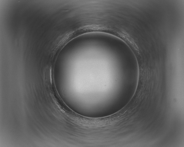X0000054440014200507291330
