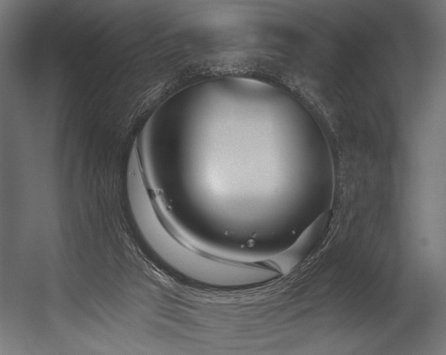 X0000054440017200507291330