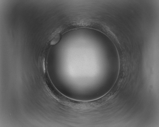 X0000054440020200507291330