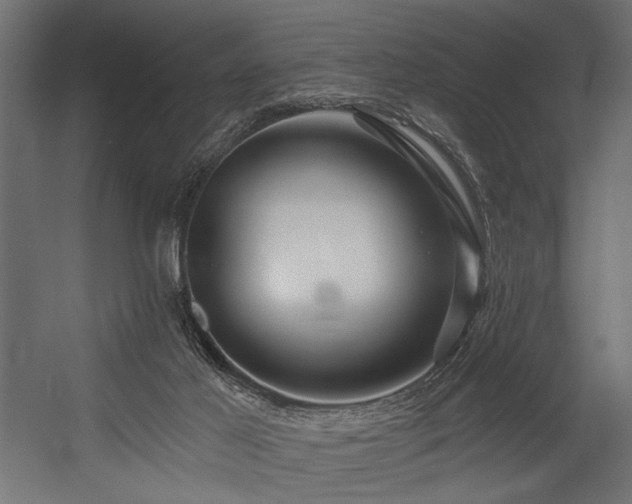 X0000054440021200507291329