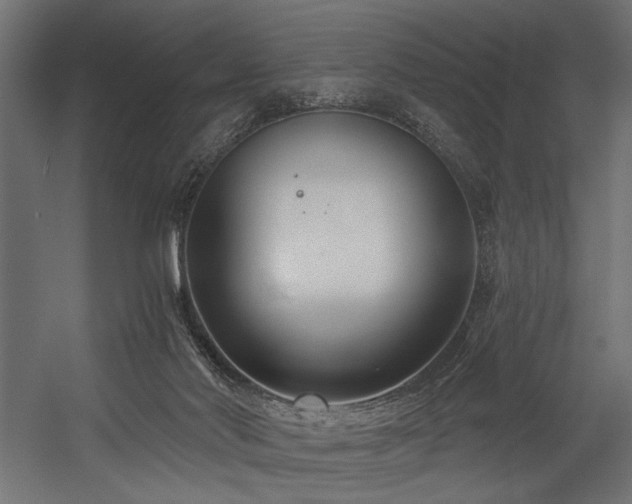 X0000054440022200507291329
