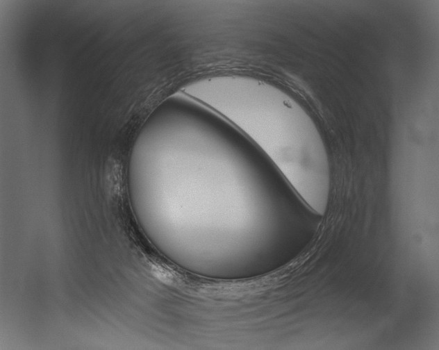 X0000054440025200507291329