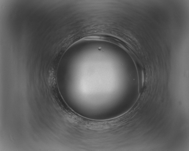 X0000054440029200507291329