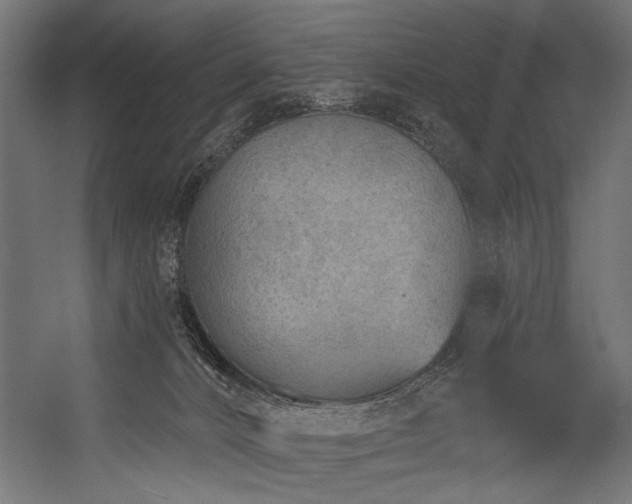 X0000054440032200507291329