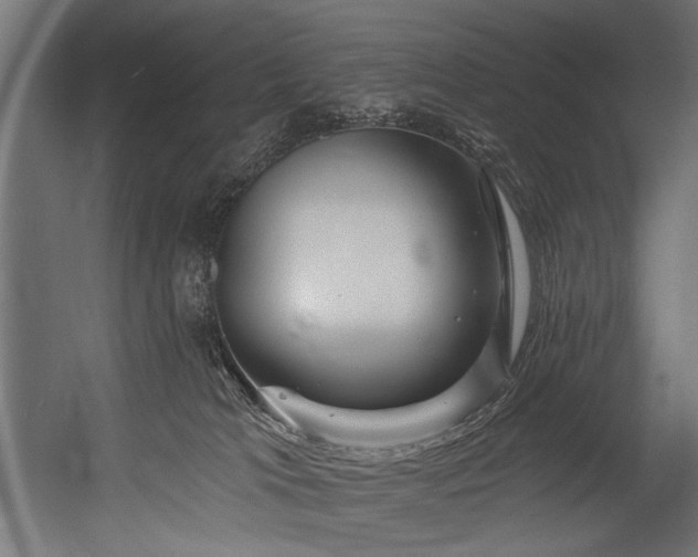 X0000054440037200507291329
