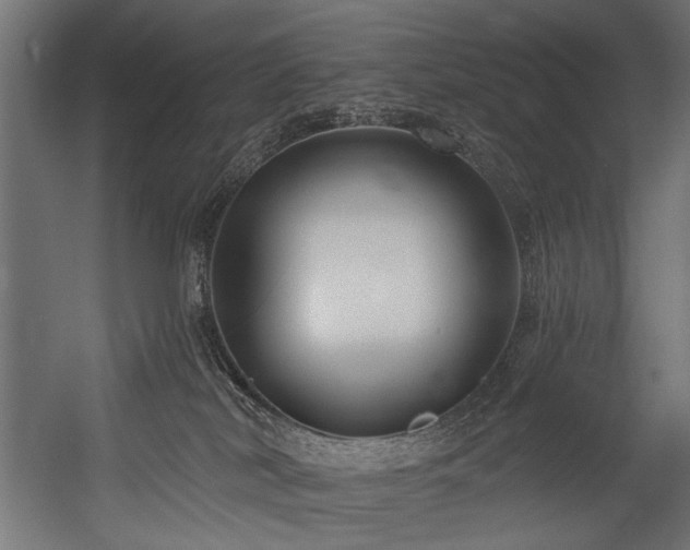 X0000054440038200507291329