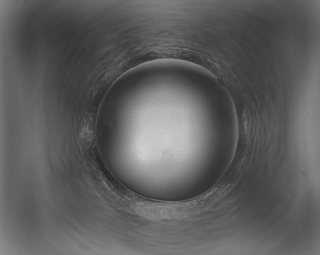 X0000054440040200507291329