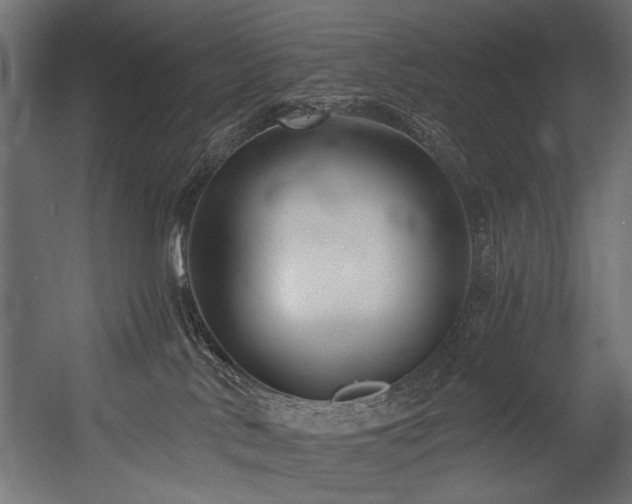 X0000054440042200507291329