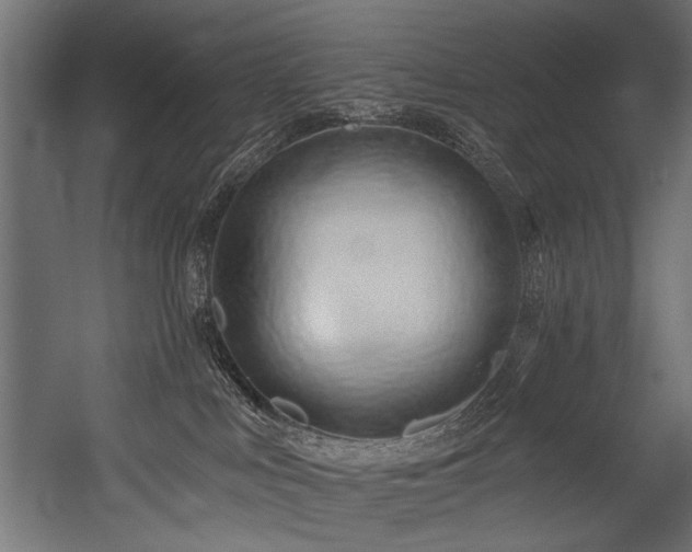 X0000054440043200507291329