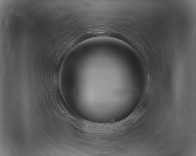 X0000054440048200507291329