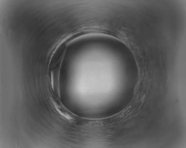 X0000054440050200507291328