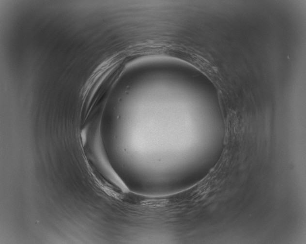 X0000054440051200507291328
