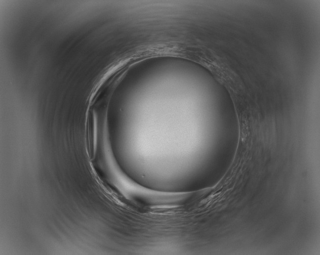 X0000054440052200507291328