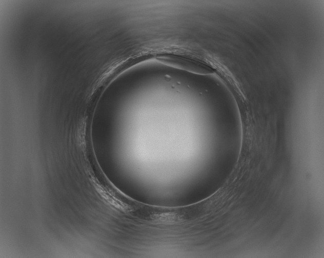 X0000054440058200507291328