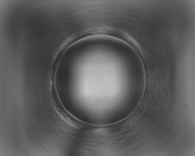X0000054440059200507291328