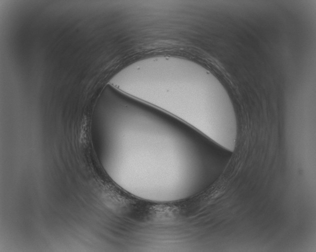 X0000054440073200507291329