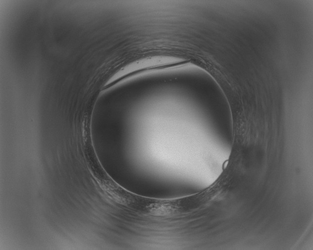 X0000054440074200507291329