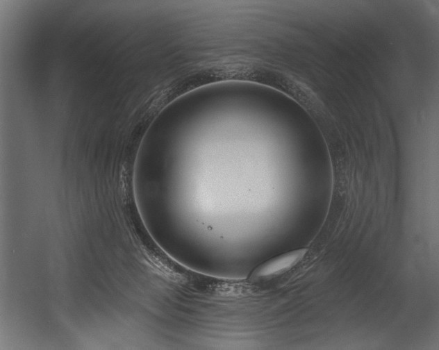 X0000054440077200507291329