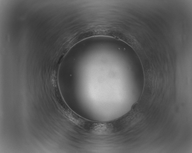 X0000054440083200507291329