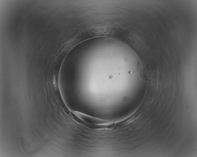 X0000054440089200507291329