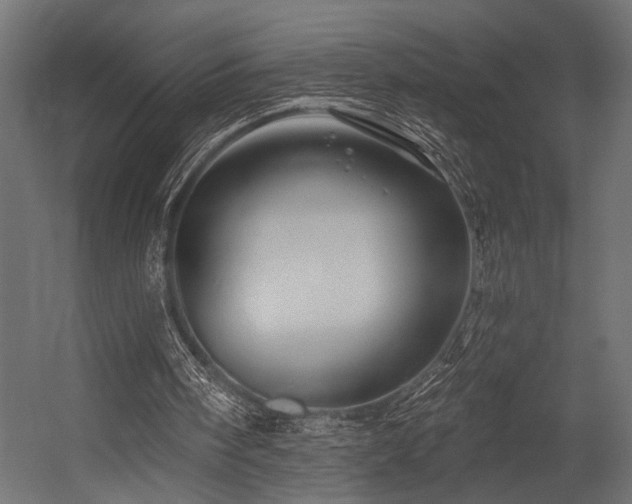 X0000054440098200507291328