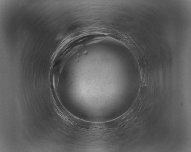 X0000054440099200507291328