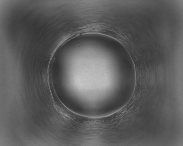 X0000054440100200507291328