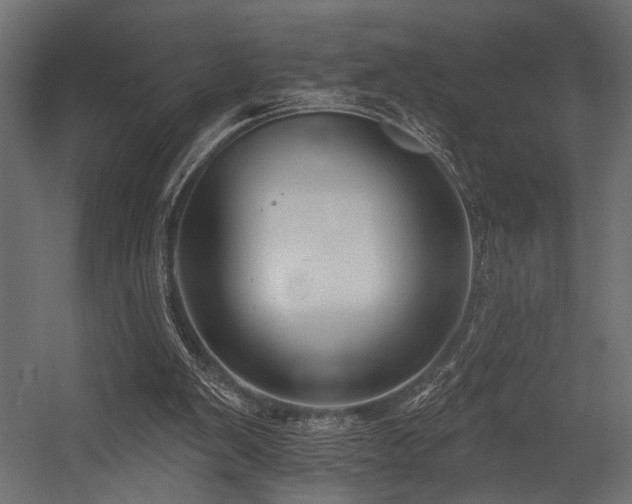 X0000054440103200507291328