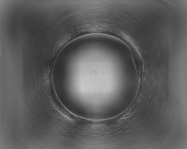 X0000054440105200507291328