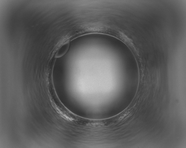 X0000054440106200507291328