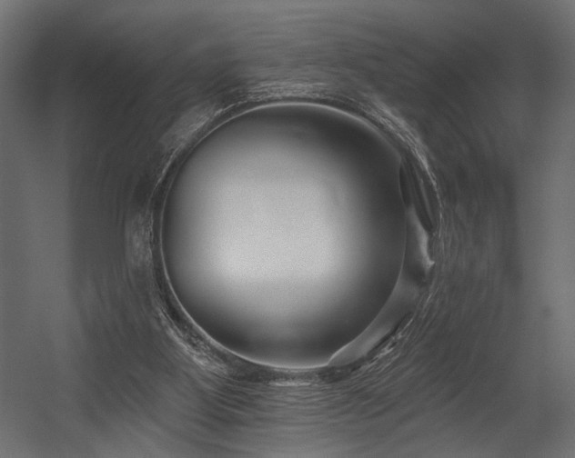 X0000054440107200507291328