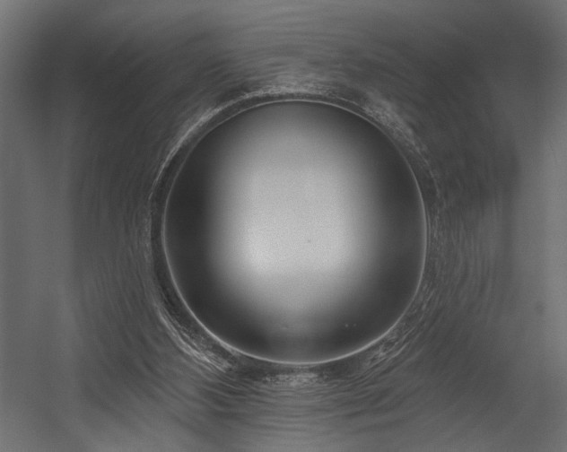 X0000054440108200507291328