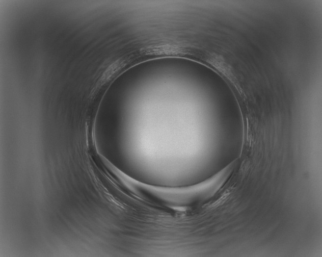 X0000054440109200507291328