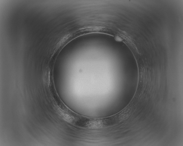 X0000054440110200507291328