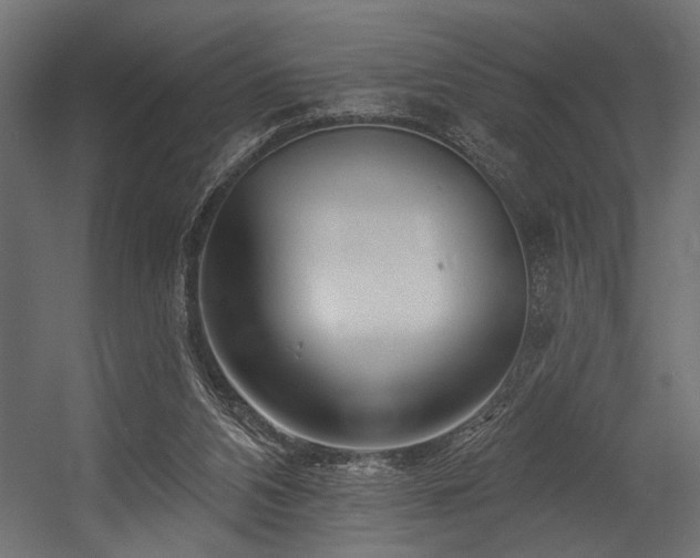 X0000054440112200507291328