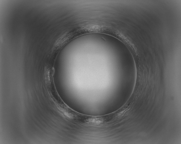 X0000054440117200507291328