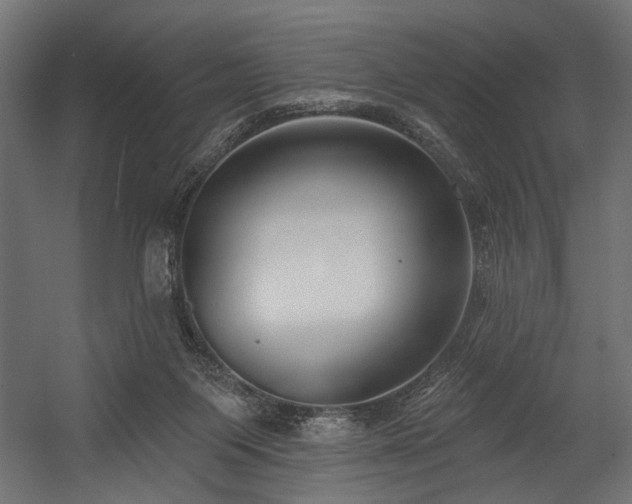 X0000054440119200507291328