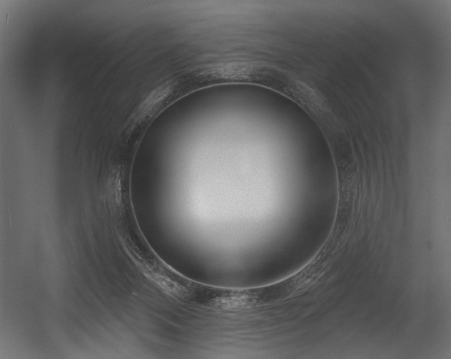 X0000054440120200507291328