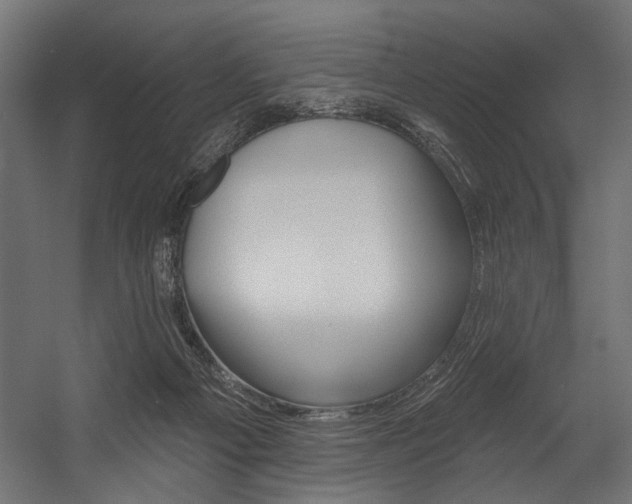 X0000054440121200507291328