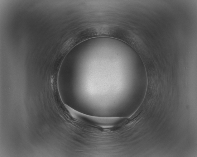 X0000054440123200507291328
