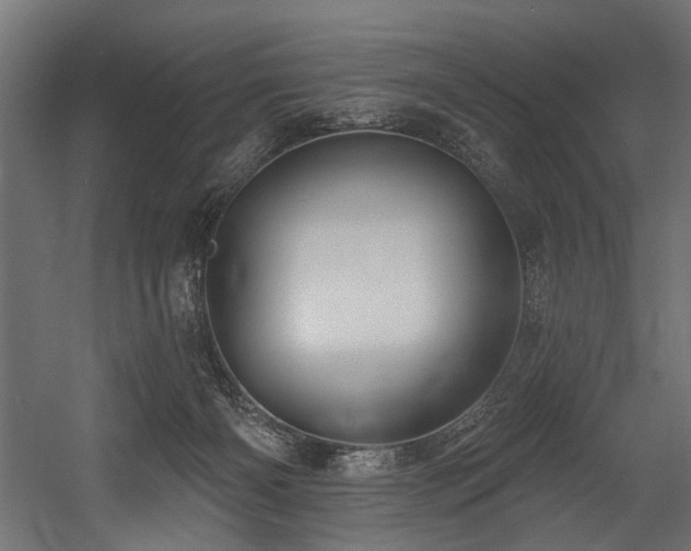X0000054440126200507291328