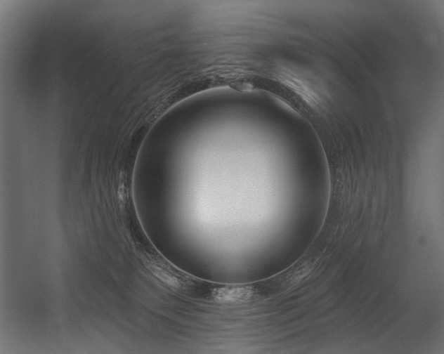 X0000054440135200507291328