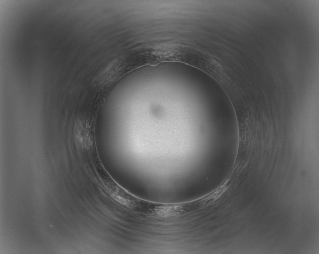 X0000054440136200507291328
