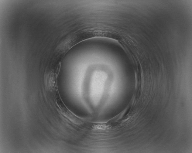 X0000054440137200507291327