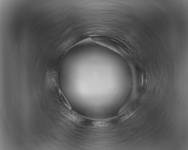 X0000054440141200507291327