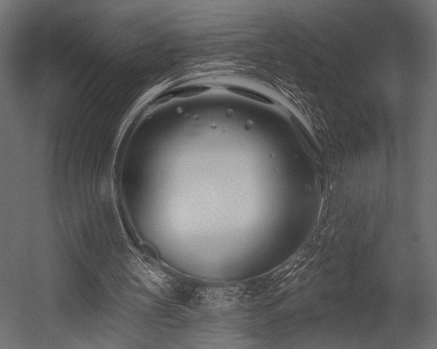 X0000054440147200507291327