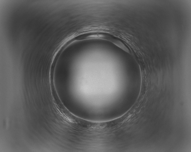 X0000054440148200507291327
