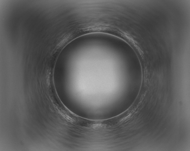 X0000054440153200507291327